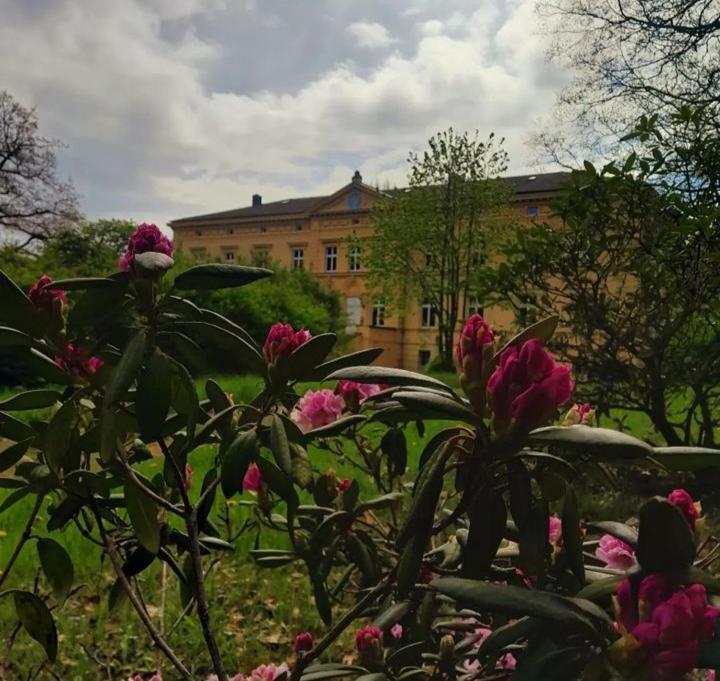 Schloss Tressow Bobitz 외부 사진